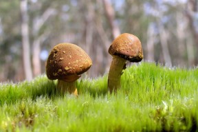 世界登山纪录挑战回放：选手心理素质成胜负关键，登山赛最高分