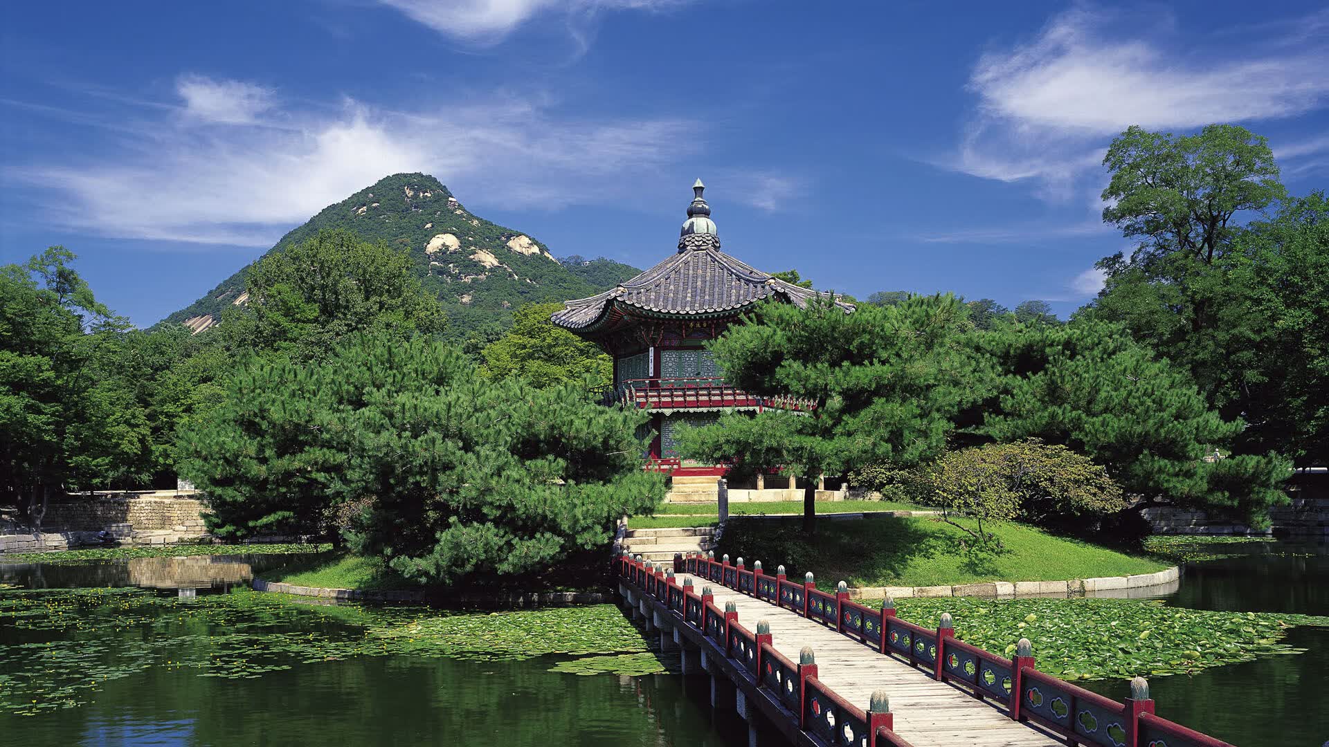 世界拳击锦标赛赛场急救响应标准化手册发布,世界拳击锦标赛游戏